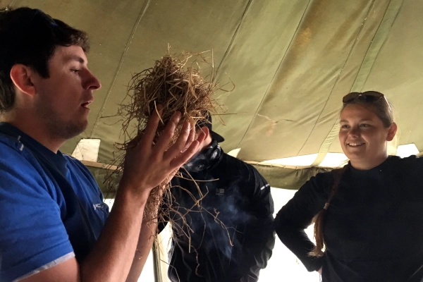 Primative fire lighting in Wales