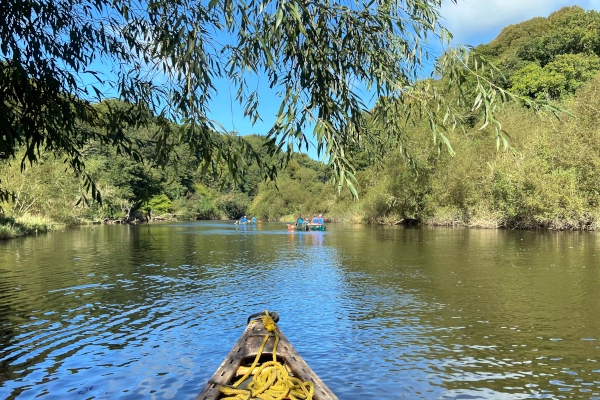 canoe trip Teifi gorge Cardigan