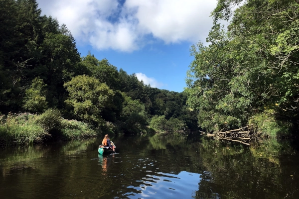 Canoe trip Cardigan on the river Teifi